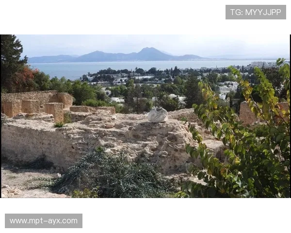 突尼斯迦太基之鹰亮相,象征古文明新力量 突尼斯迦太基之鹰亮相,象征古文明新力量