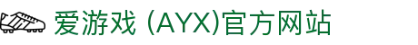 AYX爱游戏在线官网